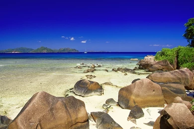 Free Tropical Wallpapers