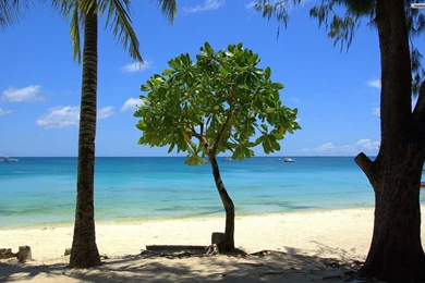 1773841 Tropical Beach Wallpapers