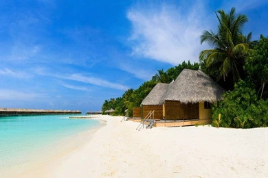 Free Tropical Beach Free Tropical Beach Backgrounds, Tropical ...