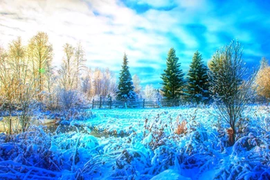 Winter Inter Snow Winter Nature Trees Free Desktop Backgrounds ...