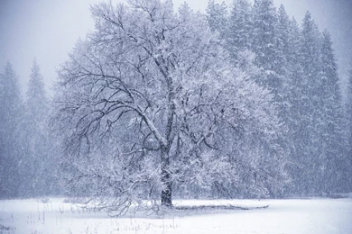 Beautiful, Winter, Storm, Desktop, Background, Wallpaper, Photos ...