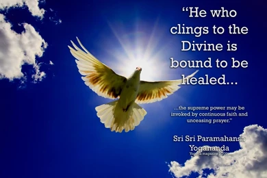 Wallpapers Of Sports – 1024×768 High Definition Wallpapers ...