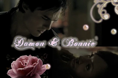 My New Bamon Wallpapers Set: 11 A Flower   Damon & Bonnie Wallpapers ...