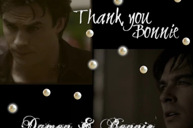 My New Bamon Wallpapers Set: 8 Thank You   Damon & Bonnie Wallpapers ...