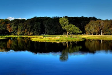 Best Hd Nature Wallpapers Ever