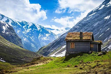 HD Great Nature Wallpapers Widescreen Full Size   HiReWallpapers 177