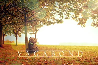 Vagabond