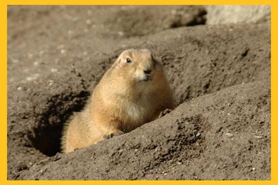 Georgia Wills, Trusts, Estate Planning And Probate Blog