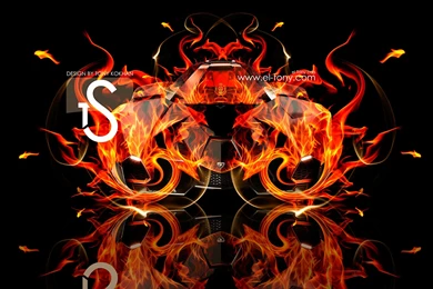 11 Model Lamborghini Wall Art