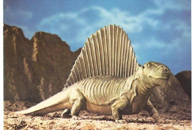 Pictures Of Prehistoric Animals   Wallpapers HD Wide