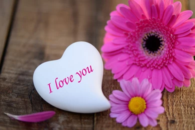 Love You Heart HD Wallpapers Image Pics Whatsapp Facebook DP