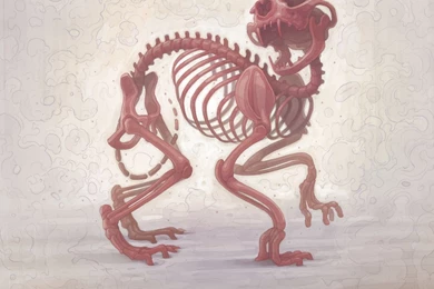 Aesop Rock   Skelethon   Amazon.com Music