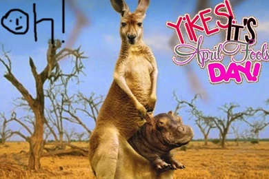 April Fool Wallpapers 1st April