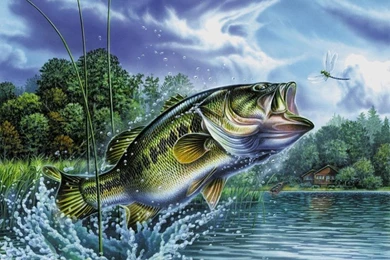 Download Bass Fish Wallpapers Phone NA36