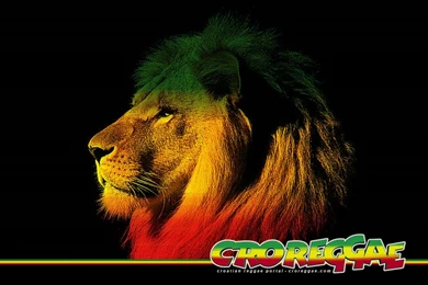 Rasta Lion Images   HD Wallpapers Pretty