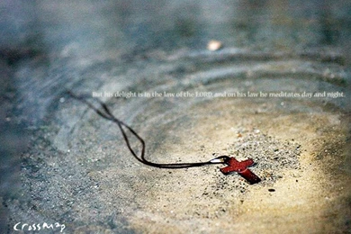 Wallpapers Christian Cool Fever 1024x768