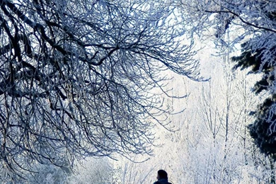 Download Winter Iphone Backgrounds