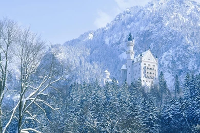 Winter Wallpapers   10