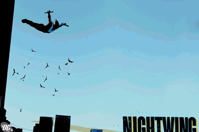 Nightwing   Batman & Robin Wallpapers (9932371)   Fanpop