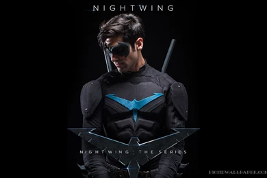 Nightwing Poster Cover
