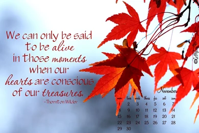 Critty Joy: Creative Sharing