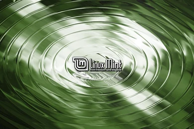Computers: Elegant Mint Linux Ubuntu Computer Backgrounds Pictures ...