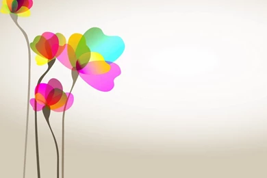 Colorful Flower Sweet Background teeth Whitening – 2 ...