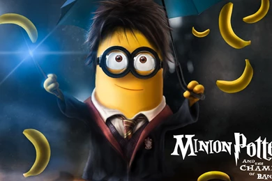 Minion Harry Potter Wallpapers