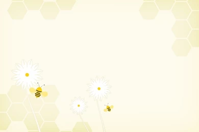 Sweet Template « PPT Backgrounds Templates