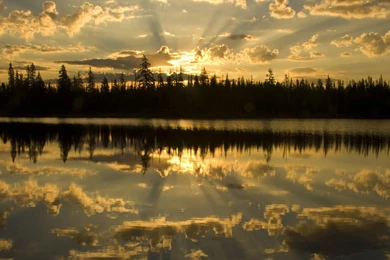 Sunset Sunrise Forests National Scenic Oregon Wallpapers ...