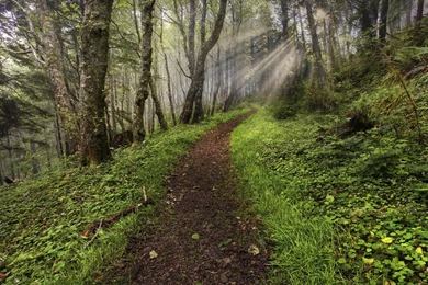 Download Coast World Wallpapers 1920x1080