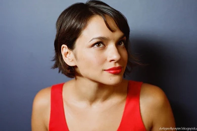 Mark Wahlberg Wallpapers