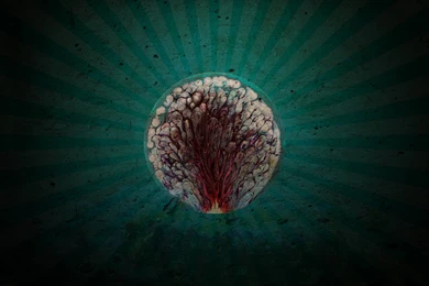 Surreal Wallpapers   Wallpapers Cave