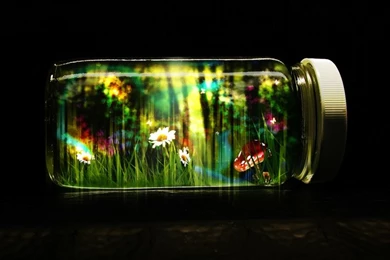 Flowers,photography Flowers Photography Jar Mushrooms Fantasy Art ...