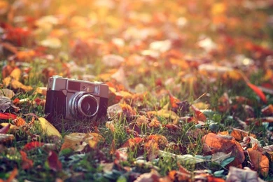 Nature Photography Digital Art 2560x1920 Wallpapers High Quality ...