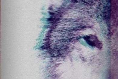 Thousands Of Ideas About Wallpapers On Pinterest