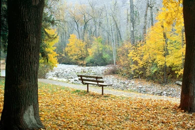 Backgrounds Sceneries Free Download   Wallpapers Zone