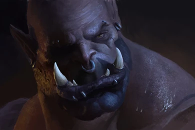 Download Wallpapers 1920x1080 World Of Warcraft, Warlords Of ...