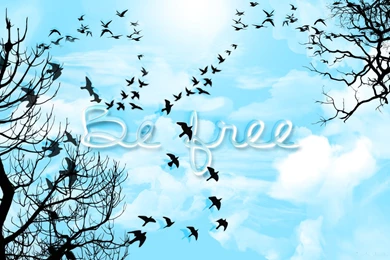 Be Free Wallpapers