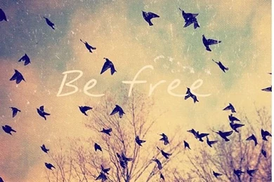 Be Free Wallpapers