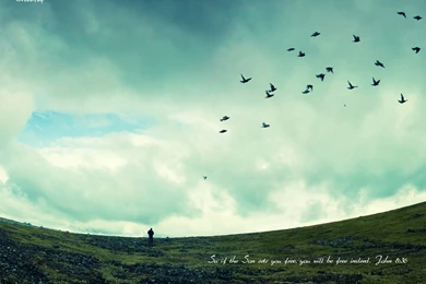 So If The Son Sets You Free, You Will Be Free Indeed