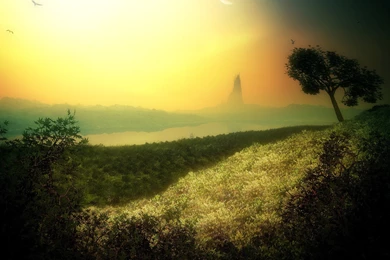 Free Wallpapers Photos   Wallpapers HD Fine