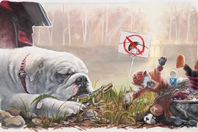 Uga Desktop Wallpapers   Wallpapers Zone