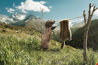 Very Funny Wallpapers Hd 4 HD Widescreen Wallpapers