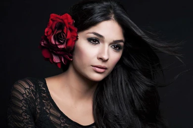 Beauty Woman Brunette Red Rose
