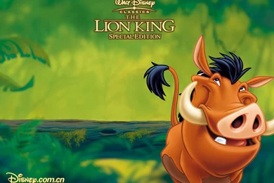 Lion King Wallpapers   Disney Wallpapers (34968677)   Fanpop