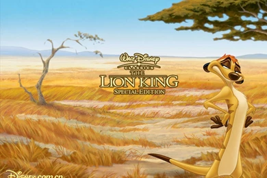 Lion King Wallpapers   Disney Wallpapers (34968662)   Fanpop