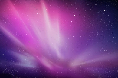 Purple Beach Wallpapers