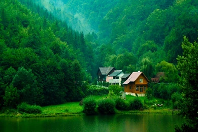 House, With, Green, Forest, Full, Screen, High, Resolution ...