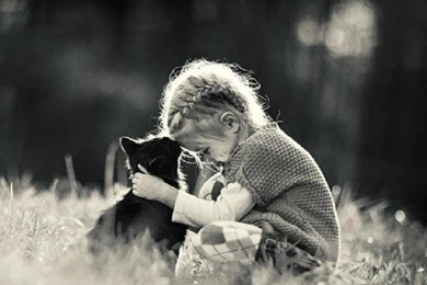 Best Friends Wallpapers   (